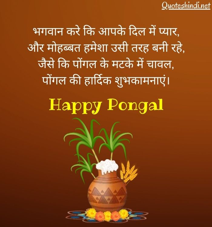 Pongal Wishes In Hindi