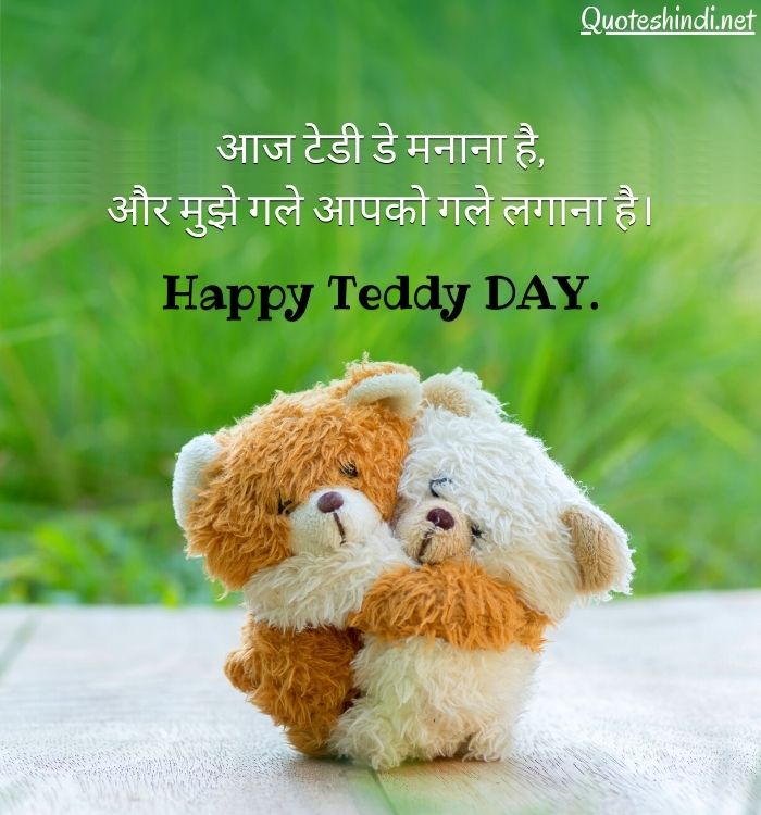 Teddy Bear Day Wishes in Hindi
