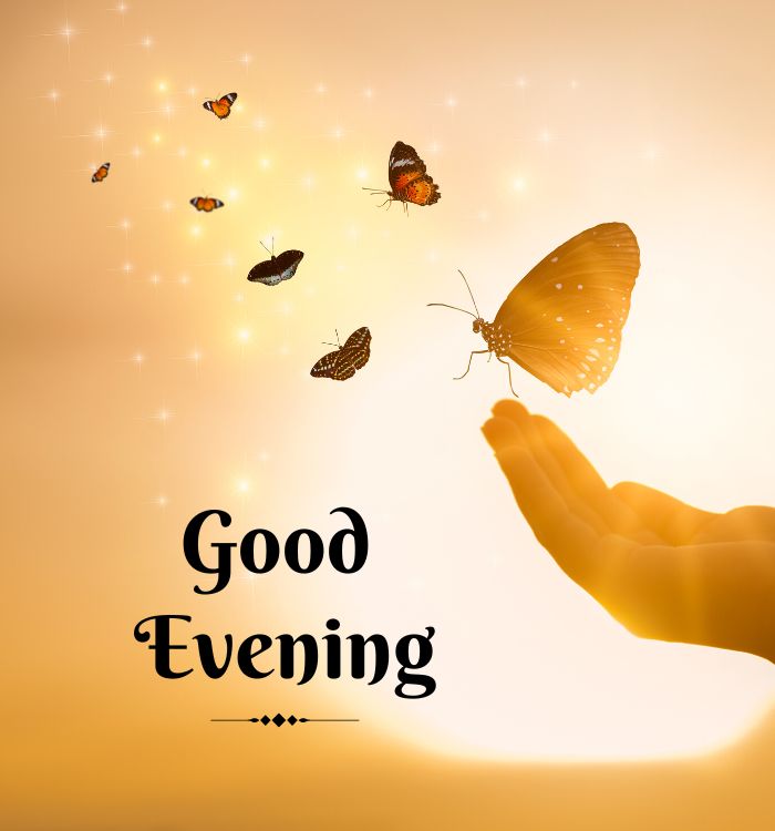 good evening in hindi