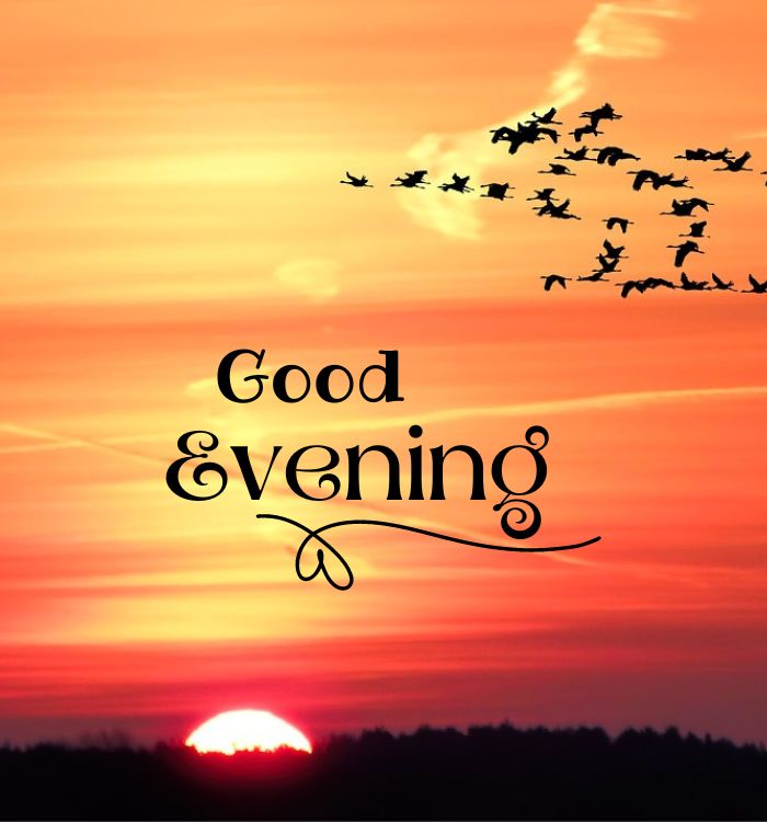 good evening wishes (2)