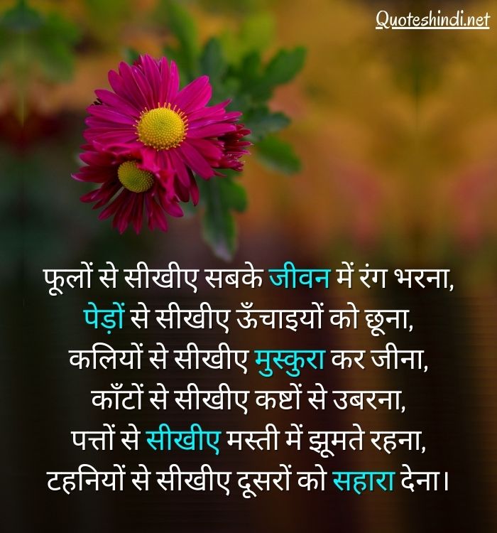 hindi quotes on nature