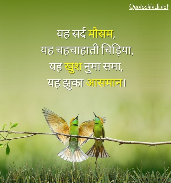 quotes on nature beauty in hindi